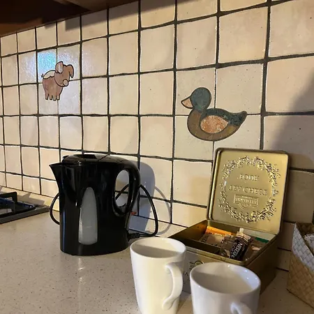 Al Civico 7 Relax A Due Passi Dal Di Oliveto Lario